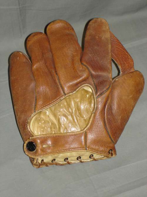 Triumph 1 Inch Web Back
